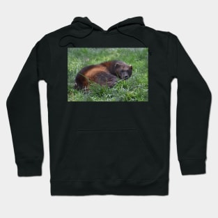 Wolverine Hoodie